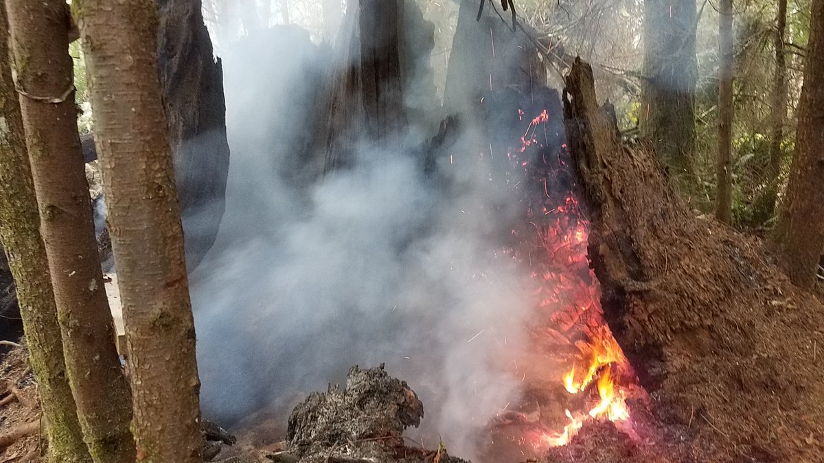<a href="/SnoqualmieFire/">Snoqualmie Fire Dept</a> crews on scene of a brush fire off the Deer Park trail on Swenson Ave. Likely been burning for several days. Appears to be a camp fire that got into an old growth stump. Lots of smoke in the area for the next few hours.