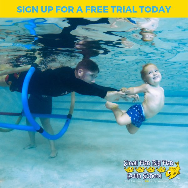 SFBFswimschool's tweet photo. Was your child born to swim? Find out with a FREE Small Fish Big Fish Swim School swimming assessment.  Sign up now for a FREE swim https://t.co/K3EqJNHR5T https://t.co/LyMpp435pS