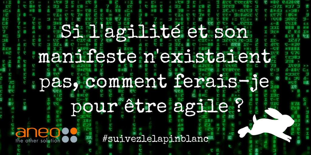 Aneo tweet media