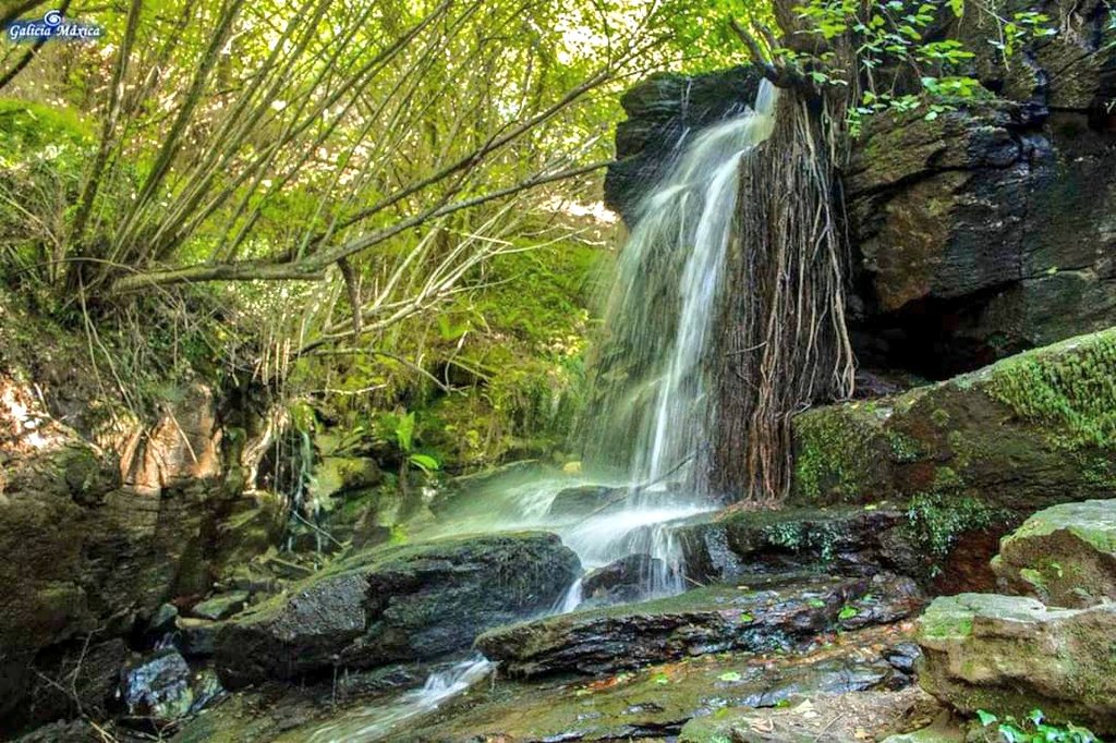 SESEIXA's tweet photo. Fervenzas en Galicia no solo las imponentes encantan, las más modestas también son espectaculares este en el sendero del río Eifonso #Bembrive enamora @GaliciaMaxica @ALCALDEJOS @loroma61 @Bea_sotelo @puestadesolvigo @Marcovolador1 @guillerminasogo @Caminanteplanet @loves_galicia https://t.co/hxgrBq9TGW