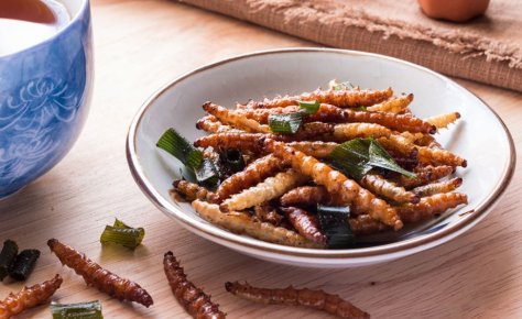 L’entomophagie est une alimentation qui est essentiellement composée d’insectes, cette pratique alimentaire est très rependue dans le monde et en pleine expansion dans nos pays occidentaux.