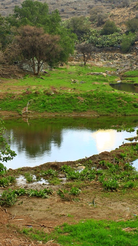 ابوثامر القرشي Ar Twitter من الشفا وادي الأعوص المنحدر من جبل دكا يصب في وادي ذي غزال الى حمى عوف وصولا الى سد ليه غدير البنات نجل الوادي طيب ماشاءالله Https T Co Qcxlchlls3