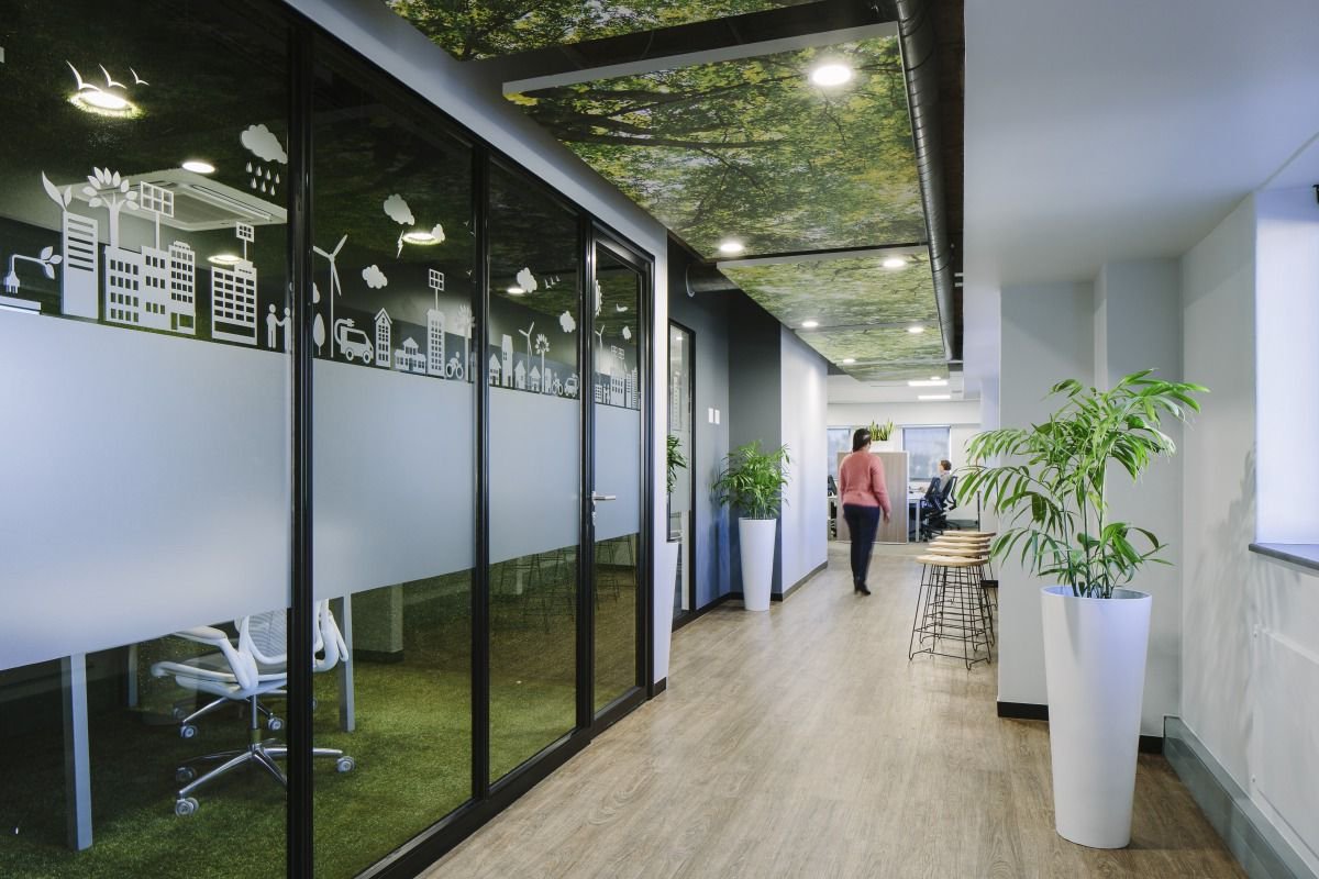 EcophonNL's tweet photo. Breng de natuurlijke buitenomgeving naar binnen. #Ecophon Solo plafondeilanden met print zorgen voor een rustige natuurlijke geluidsomgeving in het kantoor van Green Building Council Zuid-Afrika.
#plafondeiland #interieur #kantoor #akoestiek https://t.co/ddy49gDmvq