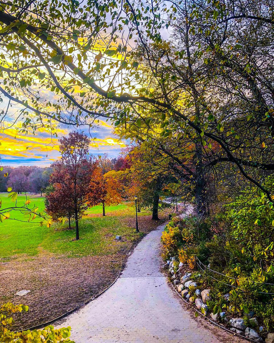 FreeUpAgent's tweet image. Prospect Park!
Looks so cool!! Who do you think would want to go there?
Only in #prospectpark this exist of course!