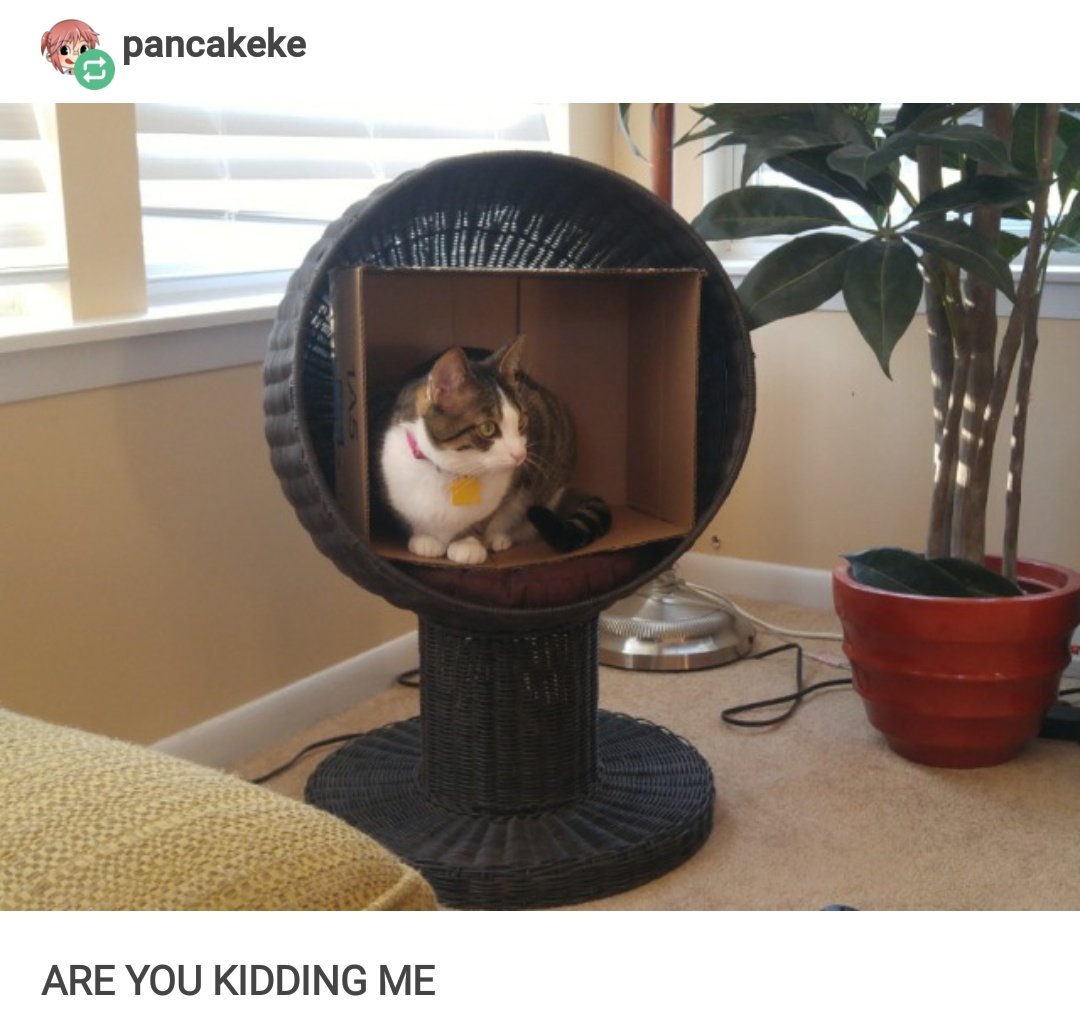 Jay (@highonthighs) on Twitter photo 