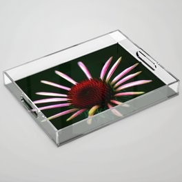 GHowlettPhoto's tweet photo. Pre-Thanksgiving sale on @society6 11/21: 25% Off + Free Shipping on Everything with Code THANKS  George Howlett Photography. https://t.co/hjqlhWu8OY