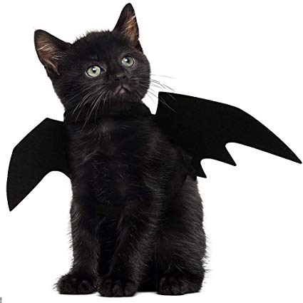 BytesHS's tweet image. Next week's Rastakhan's Pre-release Party at @ESA_OC is going to be 🔥🐯🦈🐾🔥! How will you honor your team's Loa? Friday night, Nov. 30th! Bit.ly/BytesRR