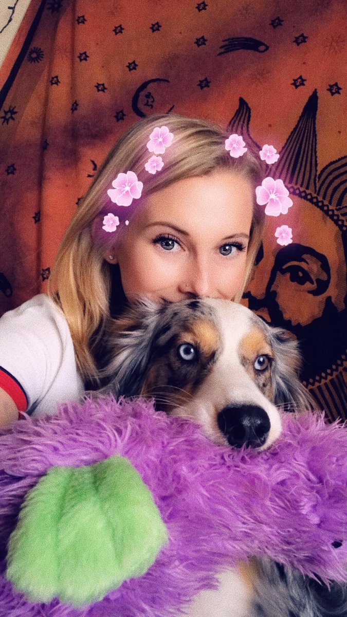 madcityyy_'s tweet photo. Happy 4th birthday to my heart and soul. This pup has changed my life in so many ways, and makes me laugh every time I see her #squishybutt ππΆβ¨π₯° https://t.co/rdgIIDCXrT