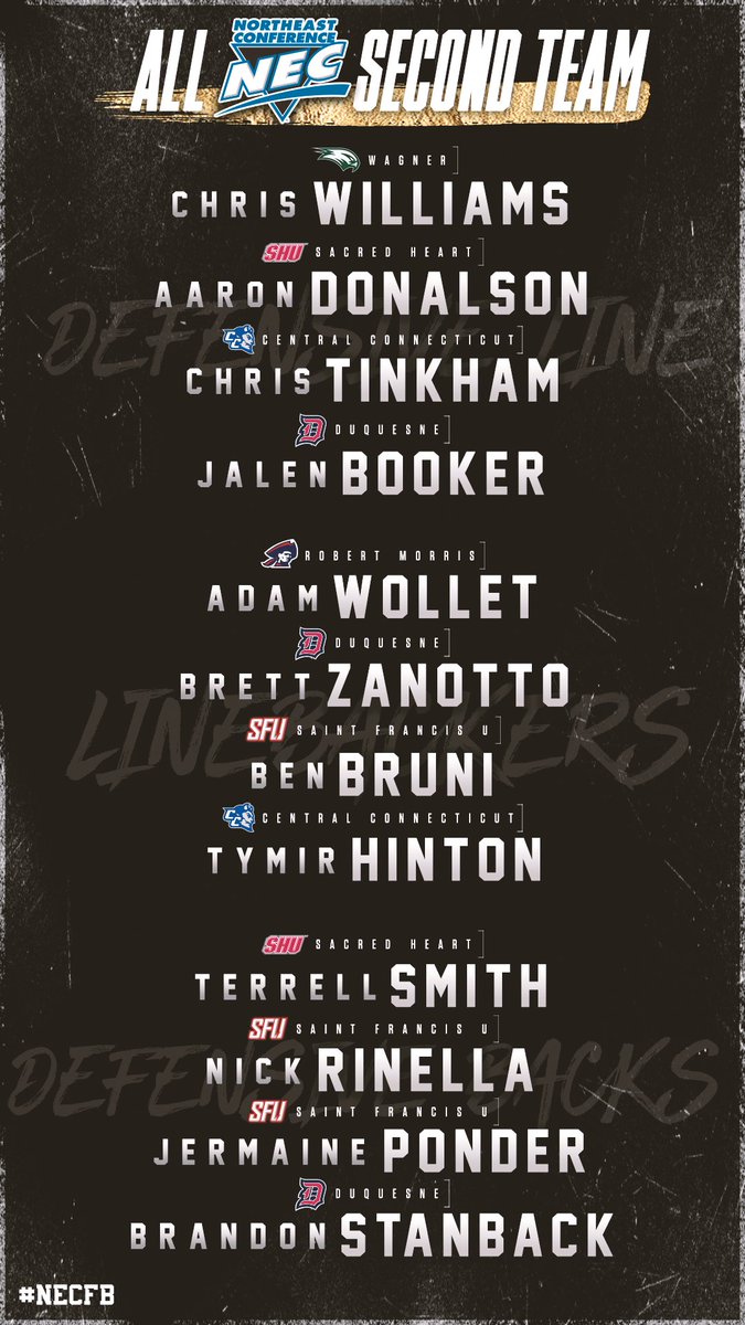 NECsports's tweet image. The 2️⃣0️⃣1️⃣8️⃣ #NECelite 🏈 #SecondTeam DEFENSE 🥈👇