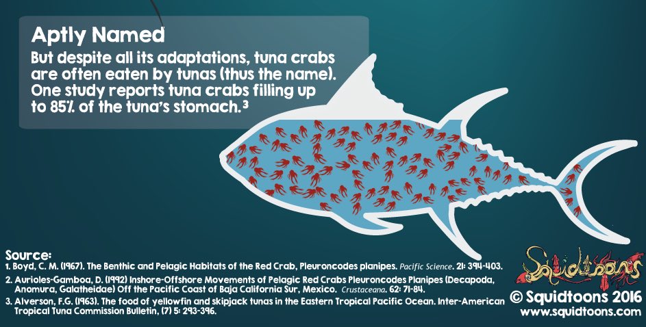 angelperea01's tweet photo. Grad students, there are usually free food at home. Go ham and eat like a #TunaCrab-eating 🐟 would. Then save the leftovers and eat it next week when you’re back in lab.#MarineBiology https://t.co/ZSAdb6r6Pa