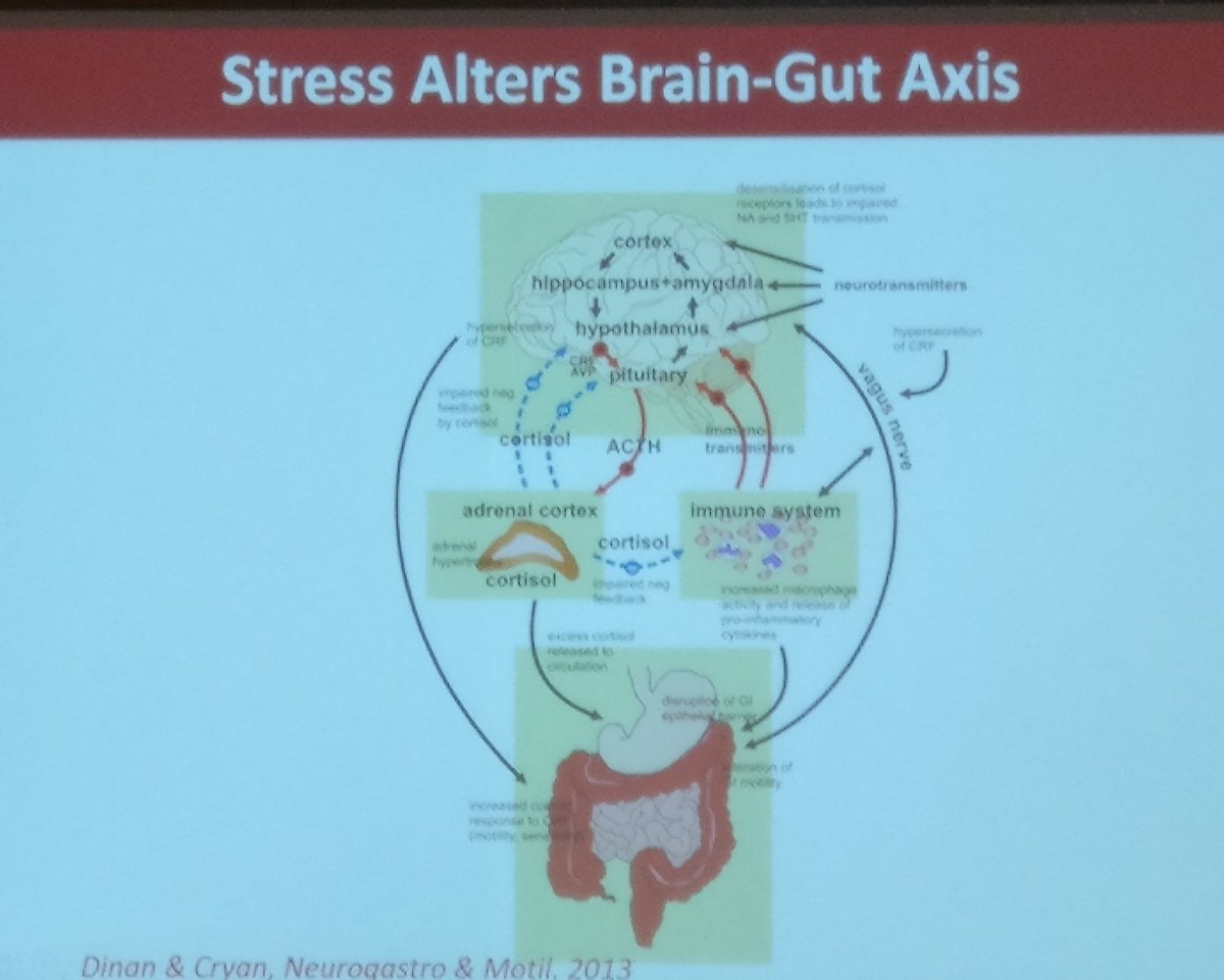 Estella Hung (@hungestella) on Twitter photo Stress is a whole-body syndrome and emerging evidence shows that prenatal and postnatal stress has a lasting impact on the #microbiome with associated physiological and behavioural effects #guthealth #brainhealth <a href="/jfcryan/">John F. Cryan</a> <a href="/lifecourse_KCL/">School of Life Course & Population Sciences</a> Stress is a whole-body syndrome and emerging evidence shows that prenatal and postnatal stress has a lasting impact on the #microbiome with associated physiological and behavioural effects #guthealth #brainhealth <a href="/jfcryan/">John F. Cryan</a> <a href="/lifecourse_KCL/">School of Life Course & Population Sciences</a>