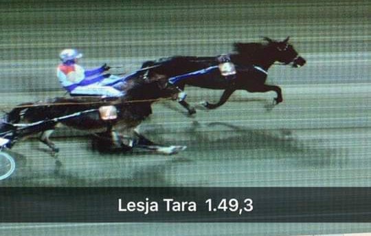 Siste mulighet:

Lesja Tara gjennomførte lett mønstringsløpet på 49,3.

Noen få andeler ledig i lillesøsteren til Lesja Odin.