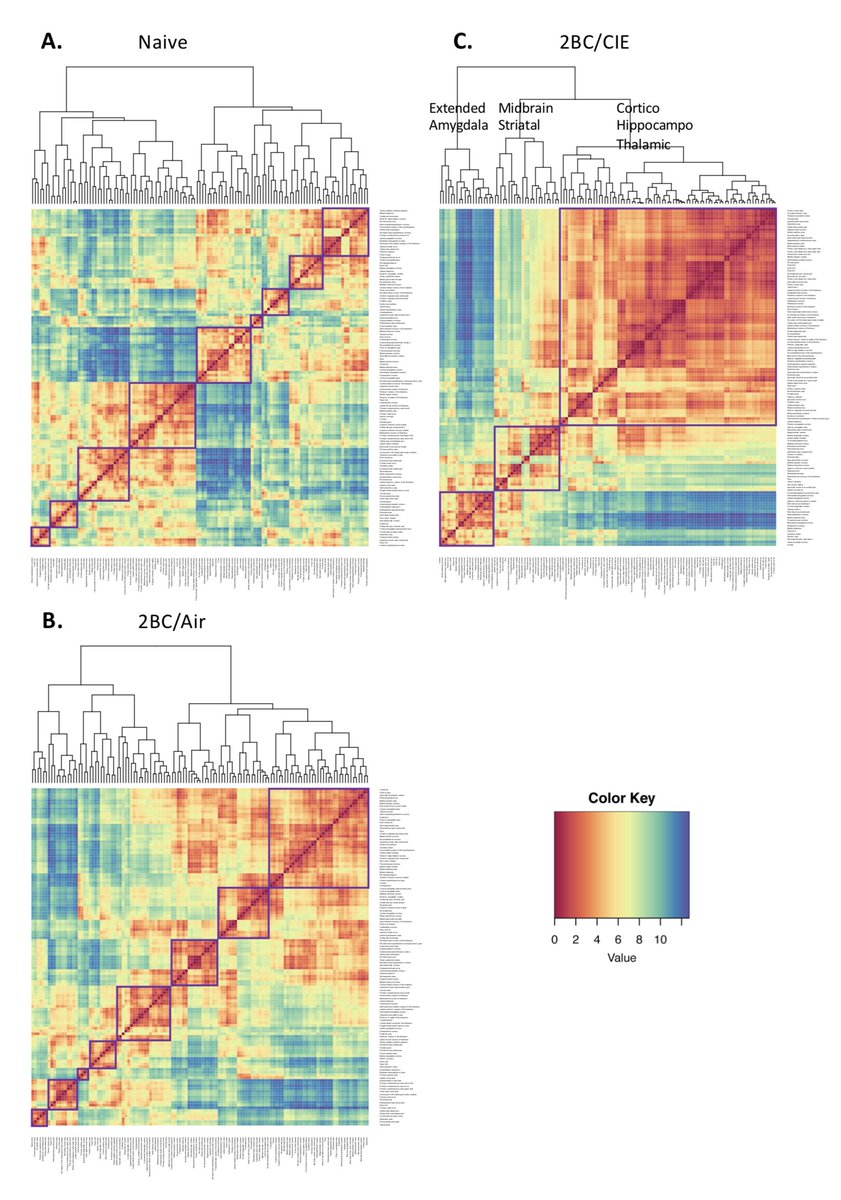 brainaddiction's tweet photo. Single-cell whole brain imaging in a model of alcohol use disorder reveals major neuronal network changes throughout the brain. Need to take a step back from our favorite regions and explore the unknown. welcoming comments. great job @KimbroughNeuro et al 
https://t.co/PNu93B5MuK https://t.co/jMkXnBt03U