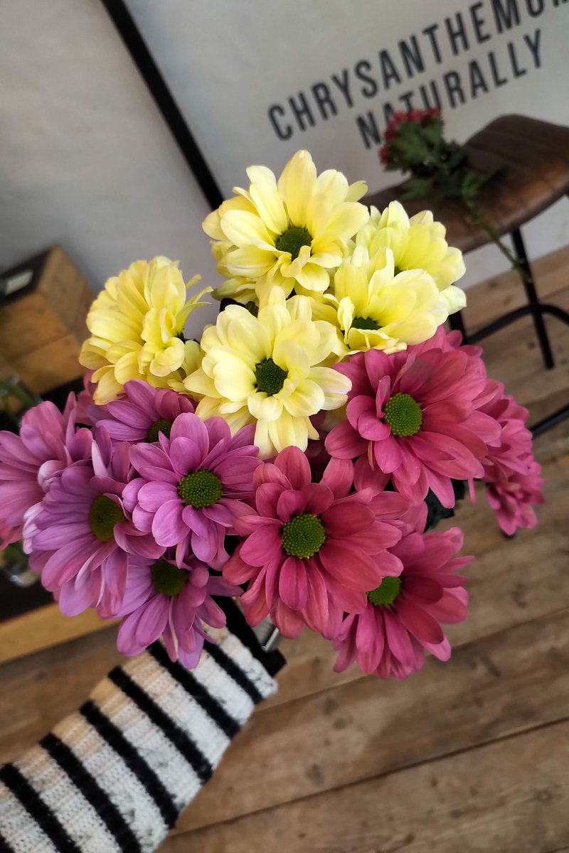 Kiepflower's tweet photo. Druk met de bloemen voor de 2019 kalenders. Genieten van warme mixen op een koude dag.

Busy with blooms for the calendars 2019. Enjoying warm mixes on a cold day. #chrysanthemums #kiepflower https://t.co/AIyKBBwQz4