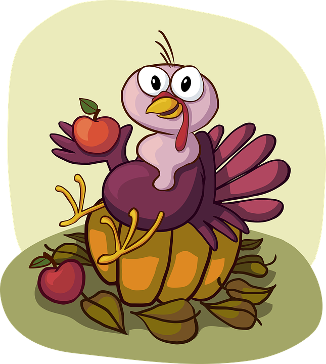 Saxonyindiana's tweet photo. #TurkeyFact: A turkey’s snood is the red bit on top of the turkey’s beak. The red bit on the turkey’s throat is called a wattle. https://t.co/l4GMQY6DHS