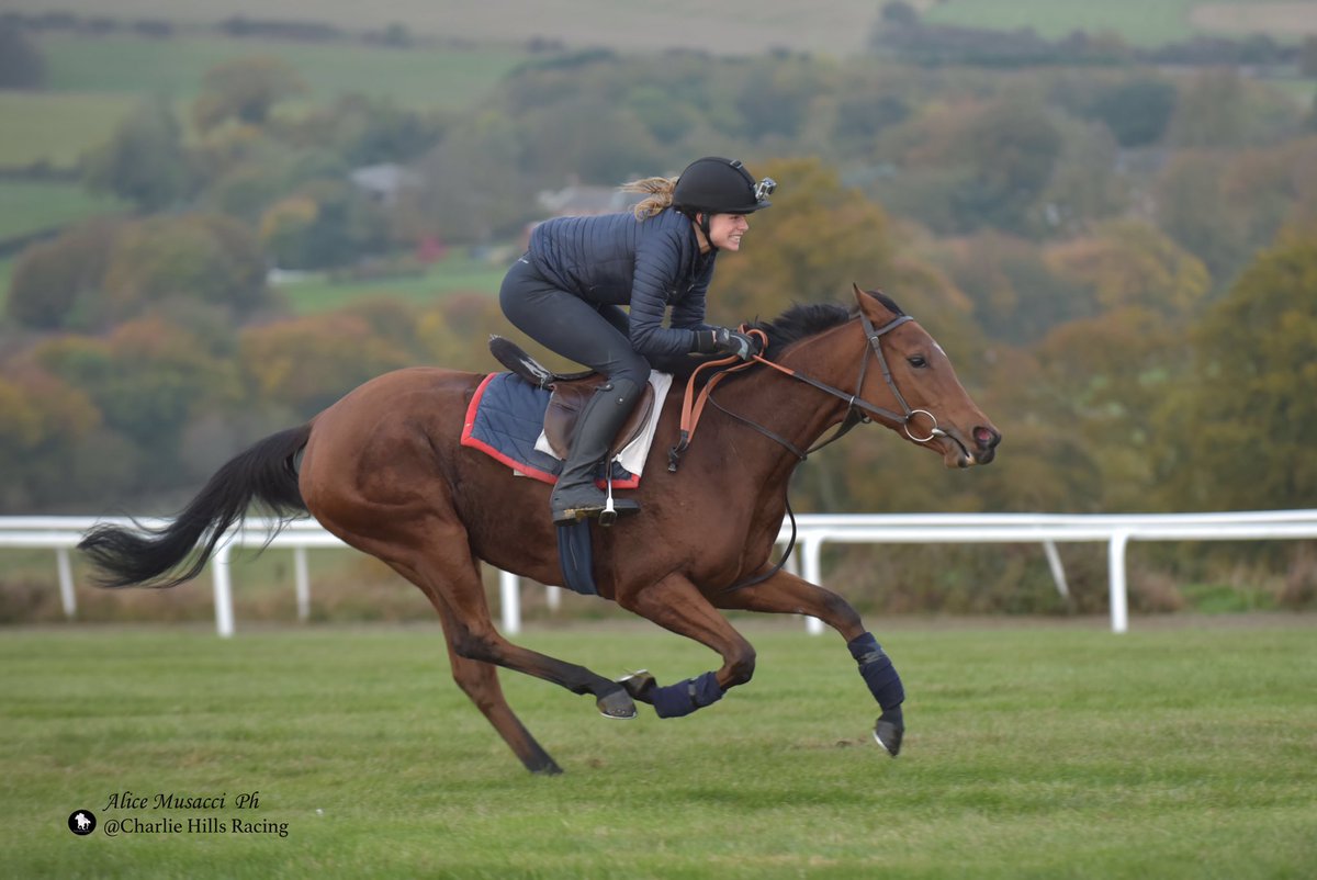 cbhills's tweet photo. Please support the lovely @Rosie_Tapner when she rides in a charity race on ROSARNO @Ascot on Friday for @countrysidefund Rosie has been working hard towards this since March and has been a pleasure to have around the yard #supermodel #jockey #gorosie #forcharity https://t.co/8JOzYB1gLl