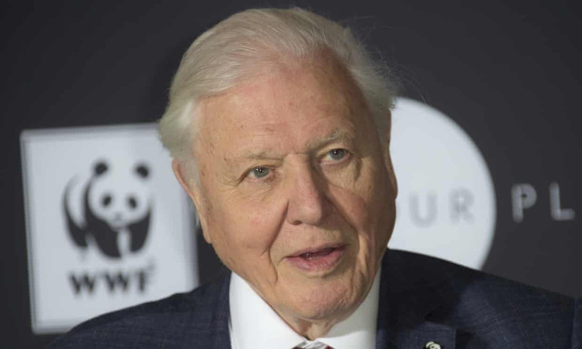 dtdchange's tweet photo. Sir David Attenborough to speak for the people at UN climate summit
Filmmaker takes new ‘people’s seat’ and will form speech with input from social media
https://t.co/xmZUGFTikW
Use #TakeYourSeat to share your thoughts on climate change https://t.co/KKzUfl5oq0