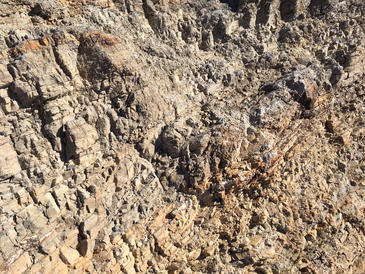 Afro_Herper's tweet photo. Hey #DigitalHerpers! We’re on our way to LA! You know what that means! It’s time for this week’s #FindThatLizardChallenge. You’ll have until I reach my mommas house. feel free to post guesses with #FoundThatLizard. You’re searching for a side blotched lizard,Uta stansburiana🦎 https://t.co/P8yLVQqa7x