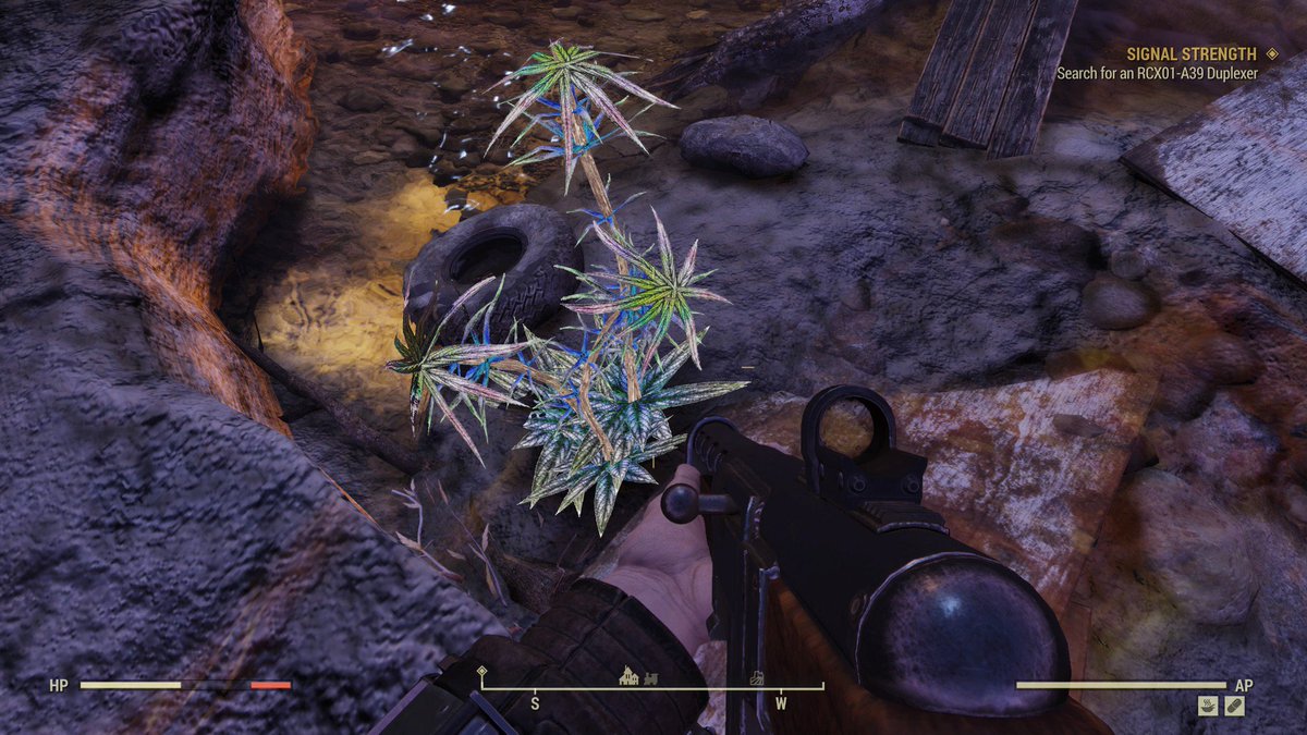 hitman0769's tweet photo. Interesting Herbz #Fallout76 https://t.co/uOt65bT26e
