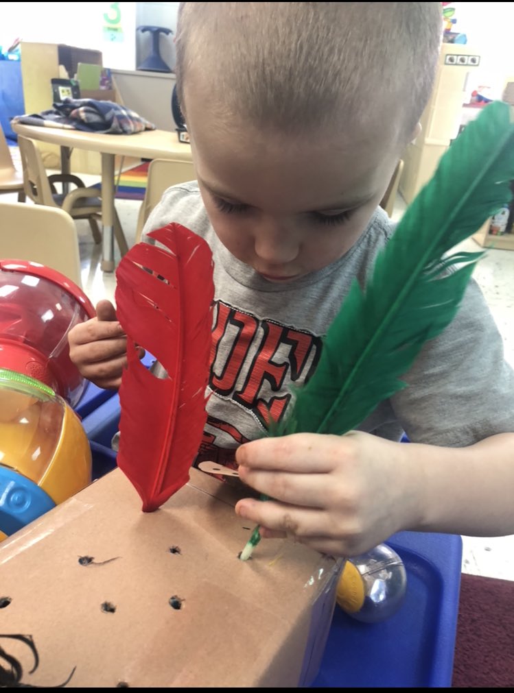 misstachulak's tweet photo. Last week’s circle time activity was focusing on our Core Vocab word “in”. The students loved putting feathers in our turkey! 🦃 #d123kol https://t.co/3l4ny45Vsh