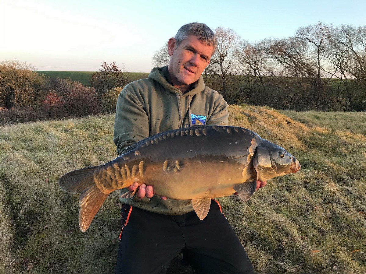 Tees Valley gold! Another batch of VScarp 4 this cracking complex. We have fish from 1lb to 25lbs available now. Give us a call #carp #vsf