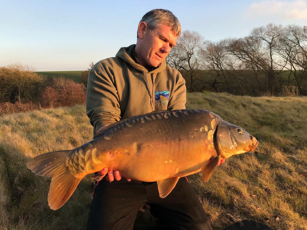 VS Fisheries tweet media