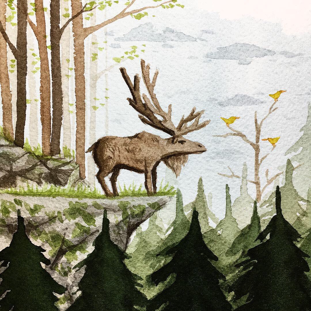 KunstiKeks's tweet photo. Animal~
#artwork #watercolorpainting #watercolor #painting #forest  #fantasyart #landscape #folktaleweek #folktaleweek2018 #animal #cliff #forestanimal #moose #forestking https://t.co/ntQJDSj76y