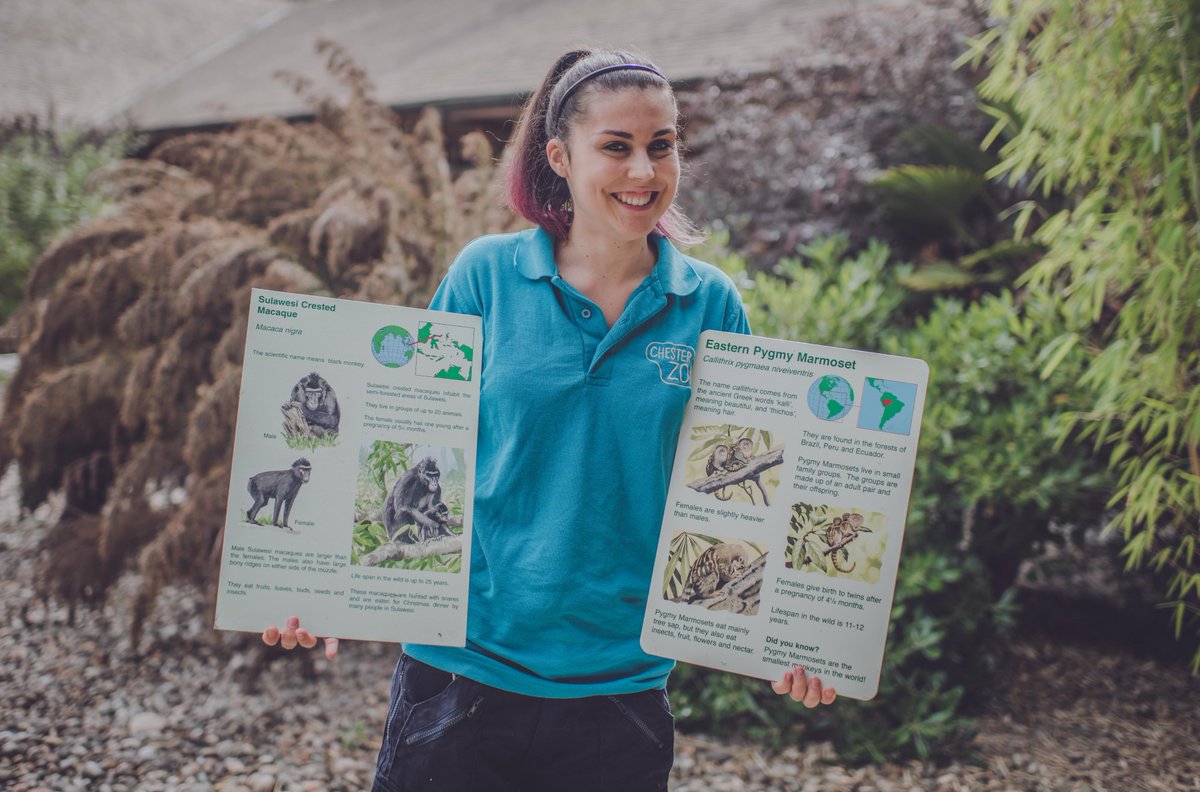 chesterzoo's tweet image. Get your hands on a piece of #TheZoo’s history! 

Lots of ICONIC ITEMS are now up for grabs on @eBay_UK... the perfect Christmas stocking filler! 🎅🎁🎄

Click here 👉 ebay.co.uk/sch/chester-zo… 

#memorabilia #ThisSignIsMine