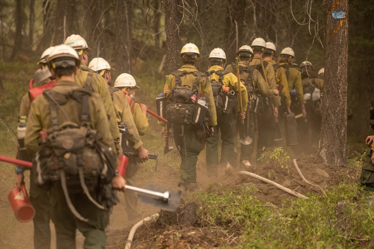ForestServiceNW's tweet photo. Today we are #grateful for many things, especially all the firefighters that work year-round at all hours of the day &amp; night, together across agency + state boundaries, to help manage fire in the PNW &amp; beyond. Thank you for your incredible commitment and service. https://t.co/zyosebQHcu