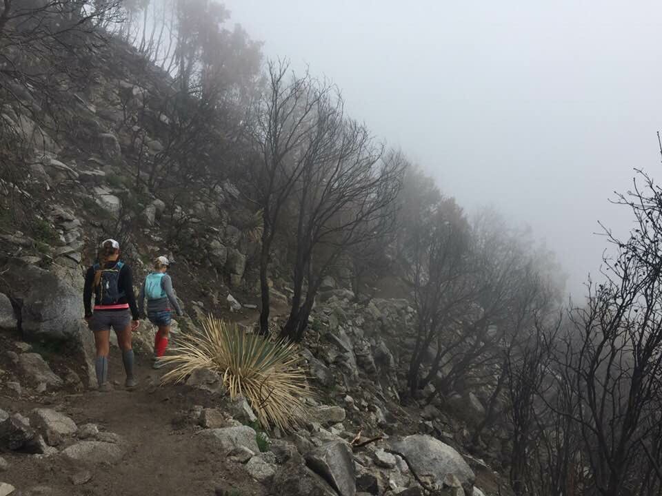 Lots of thanksgiving fog!! <a href="/AOS100_2018/">Weather and Climate 2018</a>