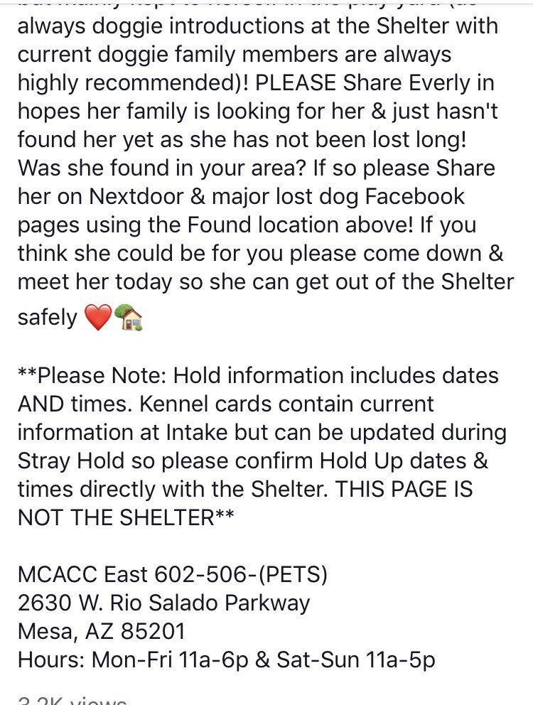 reddogsusie's tweet photo. #AZ #MESA #MCACCEast
🆘🆘CRITICAL Everly 2yo girl listed as #GSD Such a sad face...the most magnificent ears..can no-one share their life with this beautiful sweet girl! Pls #ADOPT #PLEDGE #RESCUE #FOSTER #A4165676
https://t.co/PrDUaADXK4 https://t.co/d3M9rzgPcM
