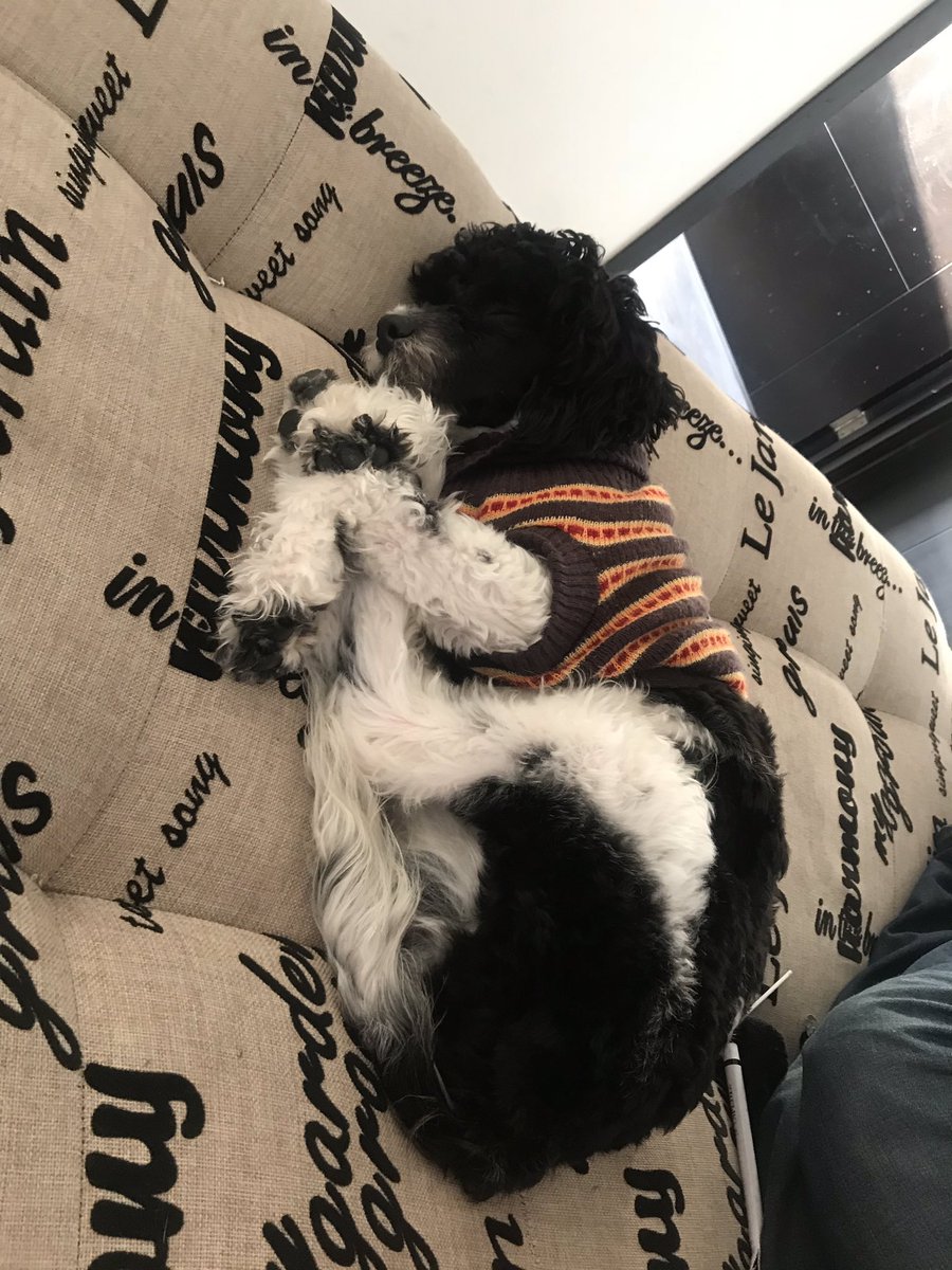 marconaranjass's tweet photo. Teodoro appreciation post. https://t.co/NGoMwau6SD