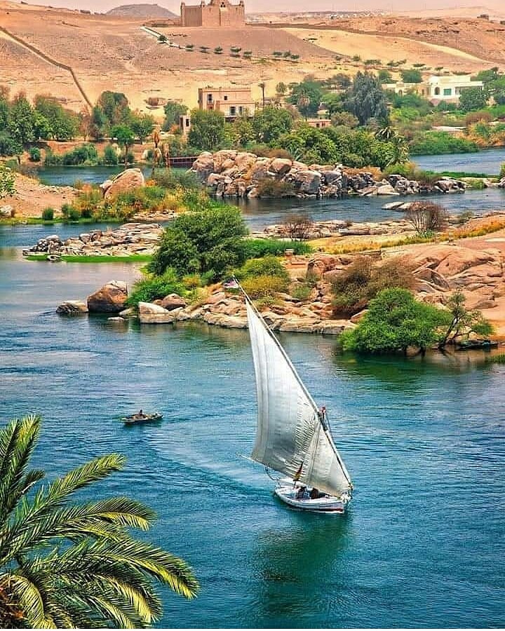 EnjoyEgyptTours's tweet photo. Who love Aswan,Egypt ? ❤❤
https://t.co/pAAqWMltfC  

#aswan #egypt #advantures #africa #marsaalam #holiday #nile #nilecruise #history #egyptology #london #paris #uae #Germany #usa #loveegypt #booking #book #france #flucca #sail #hurghada #sharmelsheikh #redsea #relax #hotels https://t.co/9yj0pYp36L