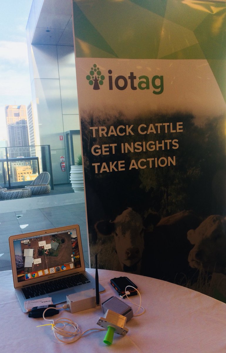 iotag tweet media