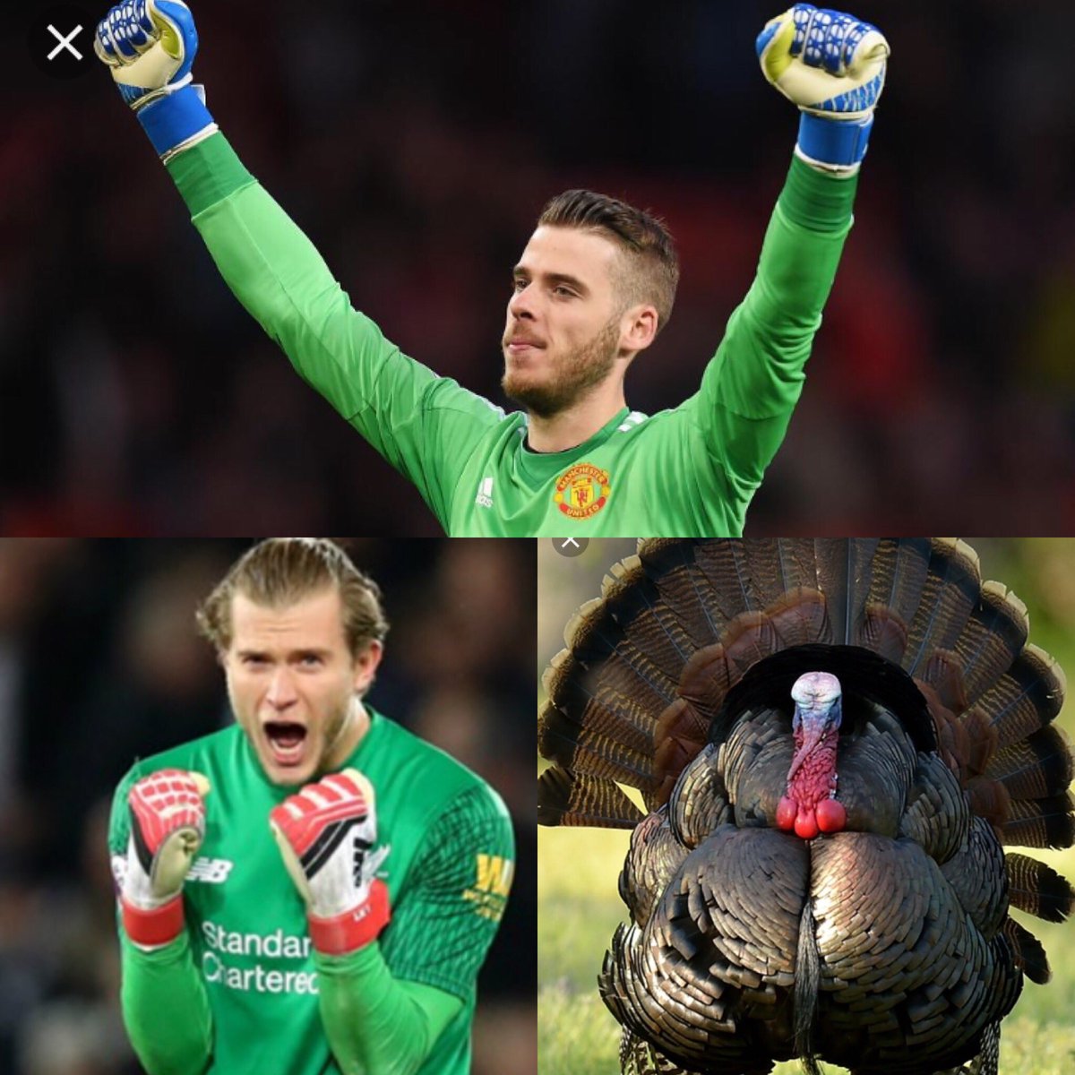 FrontFootGK's tweet photo. That’s right we’ll be at Edmond soccer club on Saturday November 24th for our first Turkey Flash Session. Visit https://t.co/QziUVdmLfz for registration and more details https://t.co/P1xotSPg2k