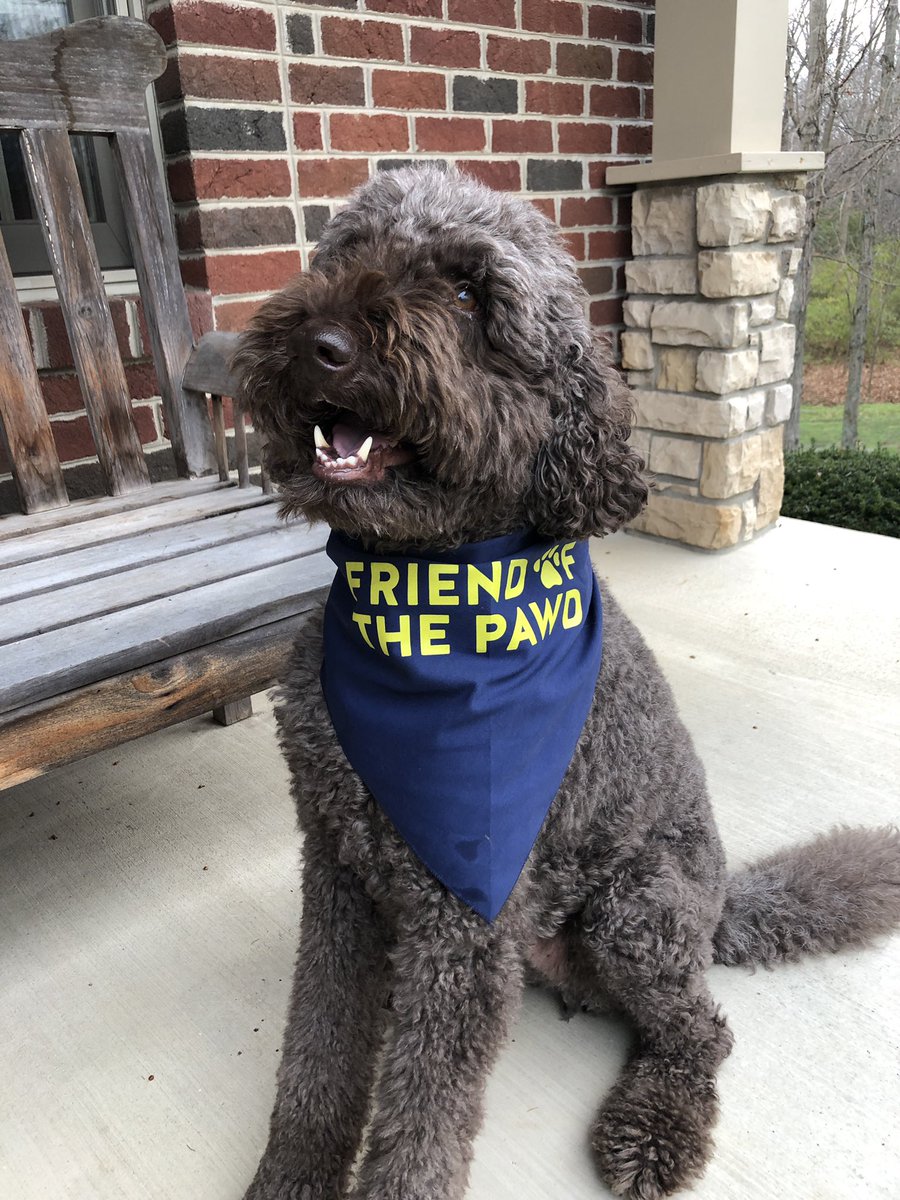 bennyblumb's tweet photo. @PodSaveAmerica @jonlovett @jonfavs @TVietor08 @danpfeiffer Wearing blue in this red state! #ohio #punditisanangel https://t.co/o2JJFgN58w