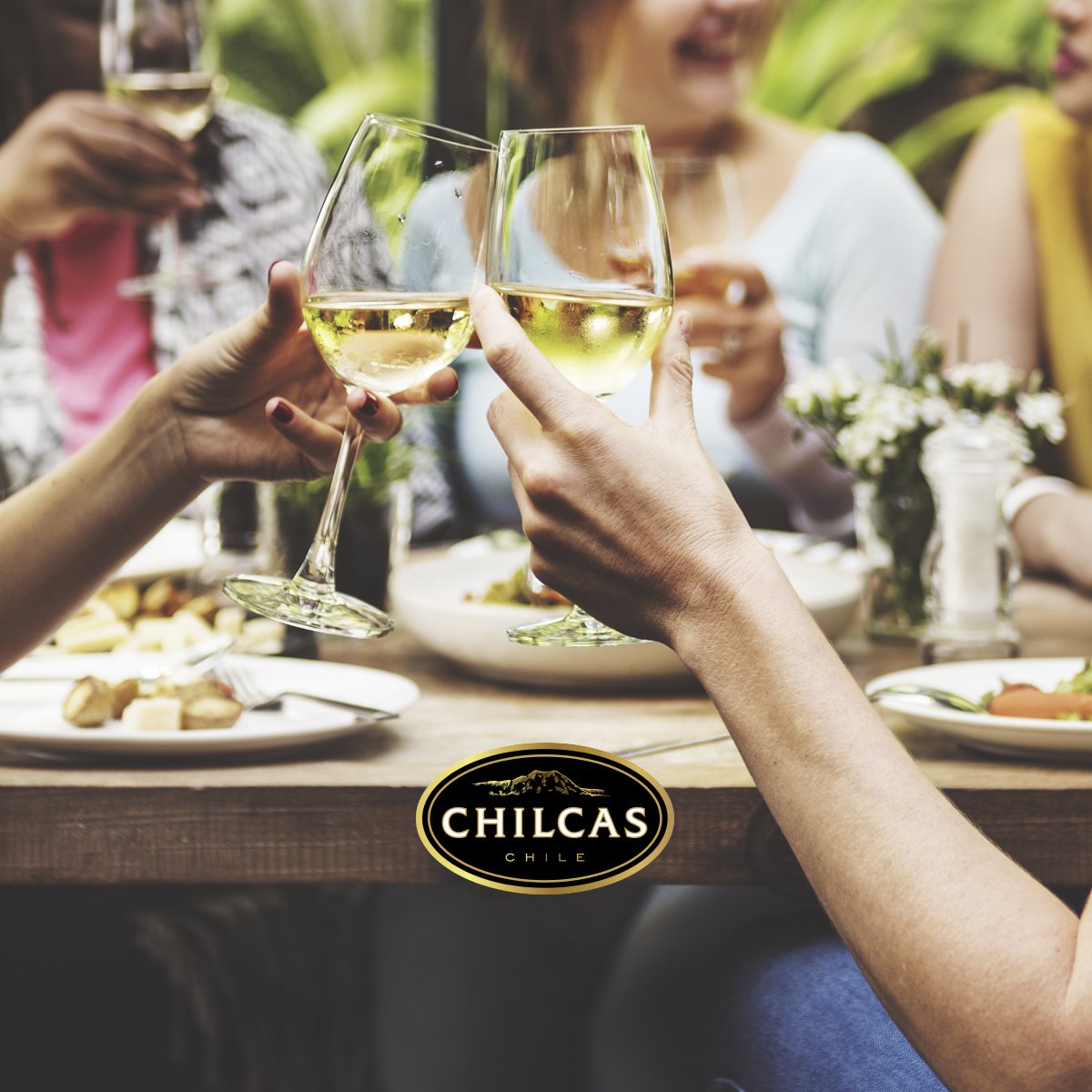 ChilcasWines's tweet photo. Porque los días de terraza ya comenzaron #WineWednesday. Disfruta de nuestros vinos clásicos para primavera: Chardonnay, Savignon Blanc y Pinot Noir #Chilcas #Wine #ElOrigenDeLoInolvidable https://t.co/bWxkNUXo8p