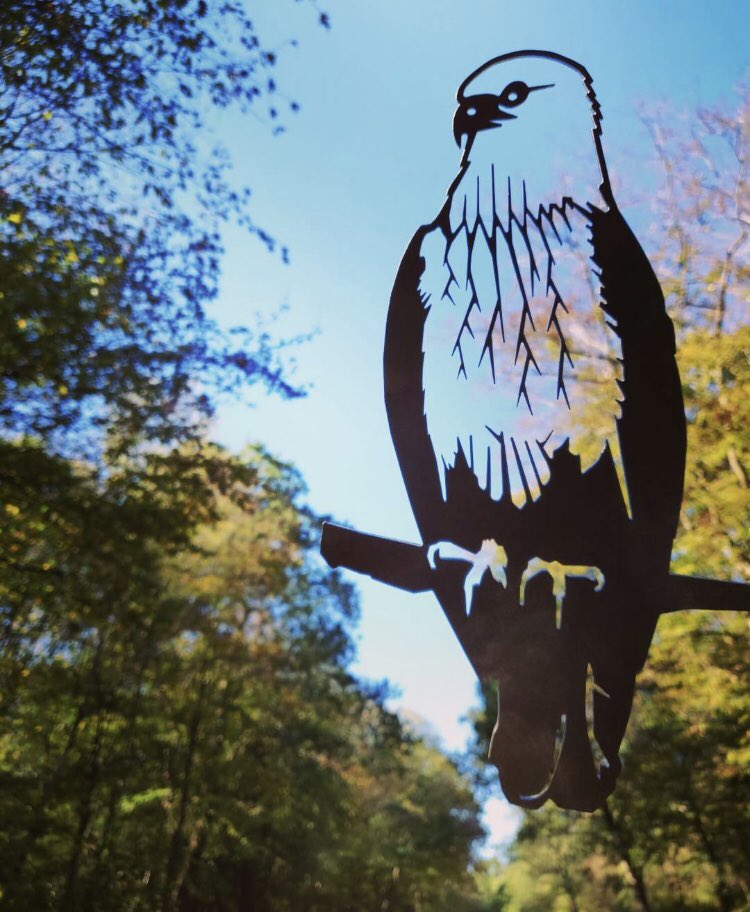 Our red kite on a sunny autumnal day. #redkite #britishbirds #XmasGiftIdeas #streetart #gardenart