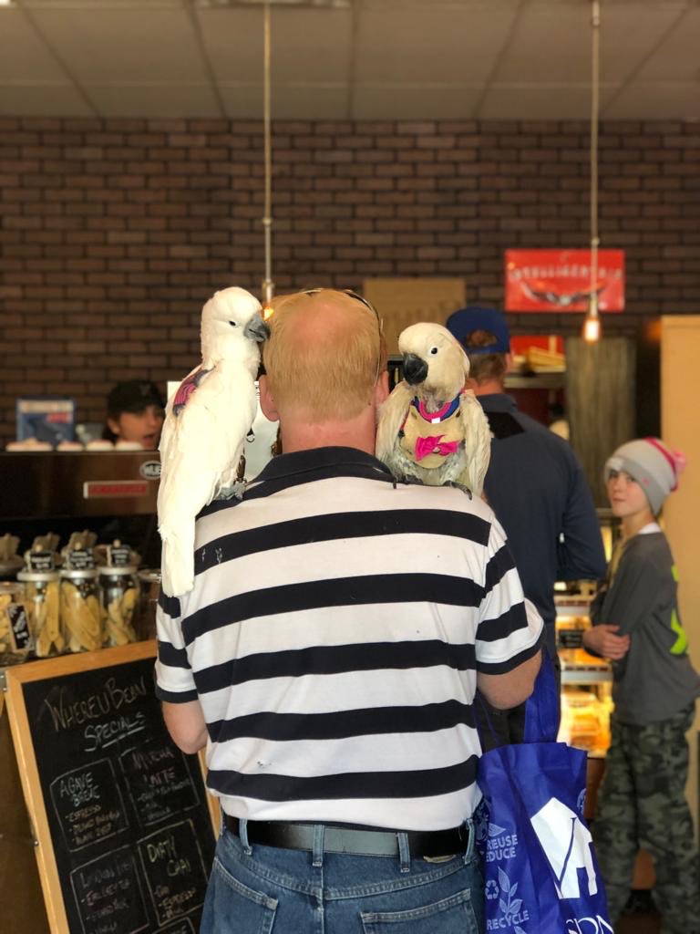 Where_U_Bean's tweet photo. Even birds think we’re fly. https://t.co/pZU0zXr9zO