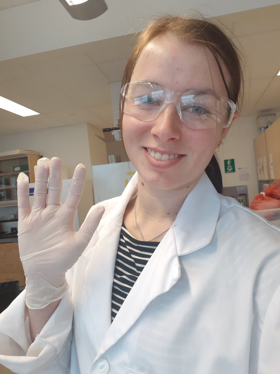 ShaynaHamilton4's tweet photo. When the gloves go on you know something fishy is going on in the @ChrisSomers9 lab! #fisheries #undergradinthelab https://t.co/WRFCttMvPY
