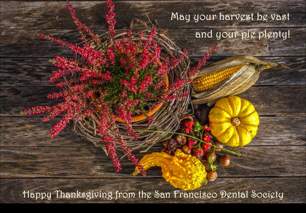 sfdsorg's tweet photo. Have a wonderful holiday! Just a reminder that the SFDS office will be closed Thursday and Friday. We will open again on Monday at 8:30am.

Now go enjoy your time off, family, friends, pie... https://t.co/egtlUCQsZp