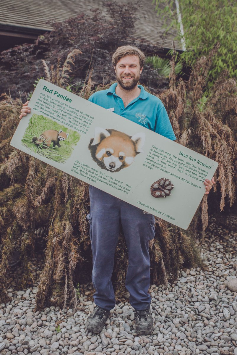 chesterzoo's tweet image. Love #TheZoo? Then bag yourself a bit of Chester Zoo history in our amazing online auction! 

Quirky Christmas gifts available now on @eBay_UK 👉 ebay.co.uk/sch/chester-zo… 

Every penny will help us prevent extinction around the world 🌍