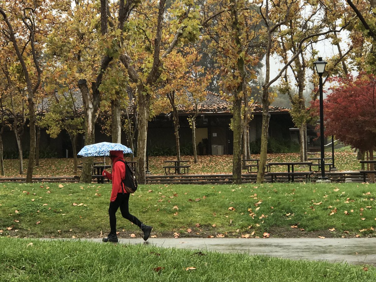 The scene of umbrellas (versus face masks) on campus is such a blessing. #CampFire 🙏