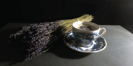 WinkAndRise's tweet photo. Have you heard of Moon Milk? It's as tasty as it is beautiful, and it may help you fall asleep! Check out our new recipe for a lavender-infused version and consider adding this soothing beverage to your bedtime routine. #WellnessWednesday #MoonMilk #sleep https://t.co/HQEJJbbfWA https://t.co/JDXpzPGjeJ