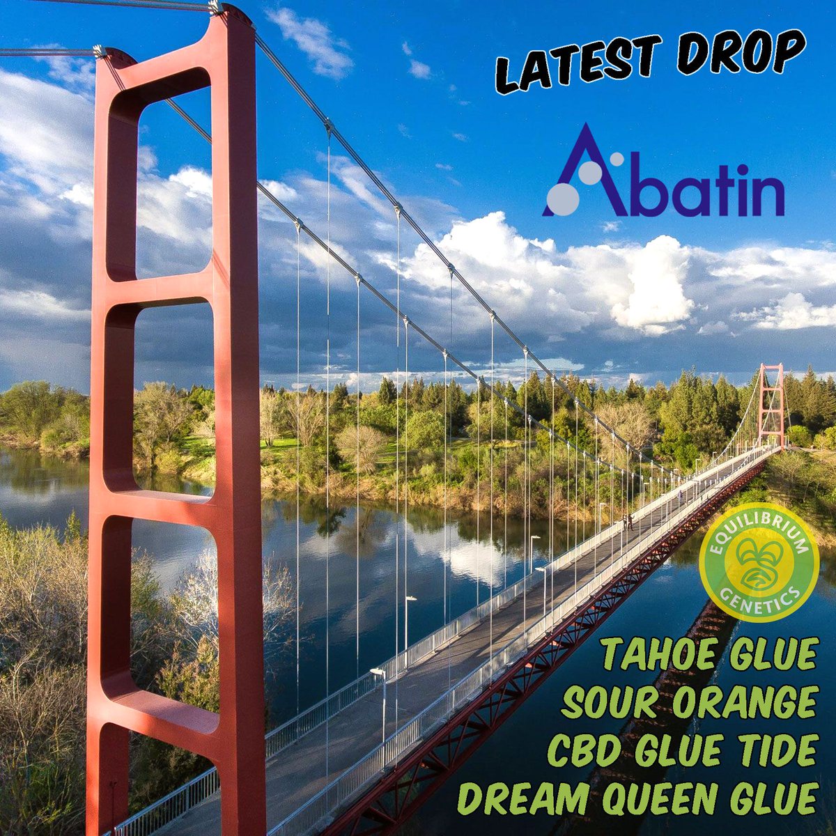 EQGenetics's tweet image. Equilibrium Genetics are now available in Sacramento!!! Visit Abatin Wellness Center for the seeds to plant your future. #eqgenetics 🌳🐝🍊
#abatin #sacramento #cityoftrees