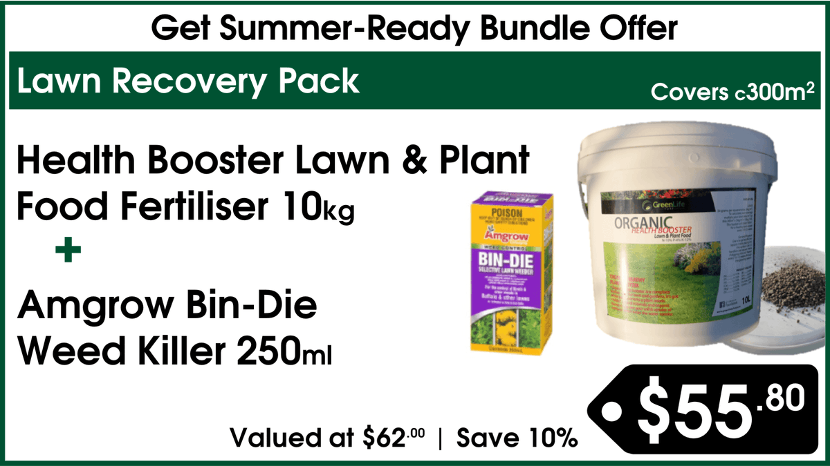 thegrassguru's tweet photo. ⏳ DON'T MISS OUT!

Time's running out to get your "Get Summer-Ready" lawn care deal! Check out our specials here: https://t.co/c5M931mpDs

#GetSummerReady https://t.co/VXSJKe6vQA
