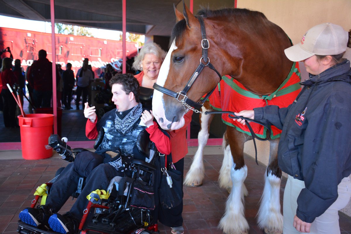 ShrinersGvl's tweet photo. Gordy, one of the iconic Clydesdale horses, visited Greenville Shriners Hospital this morning. The gentle giant thrilled patients and staff.

#SHCGreenville #clydesdale #gordytheclydesdale https://t.co/hXhpiujacp