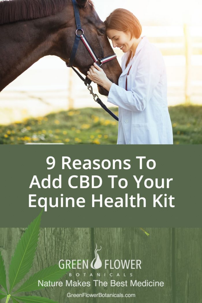 9 Reasons To Add CBD Oil To Your Equine Health Kit - greenflowerbotanicals.com/9-reasons-to-a…