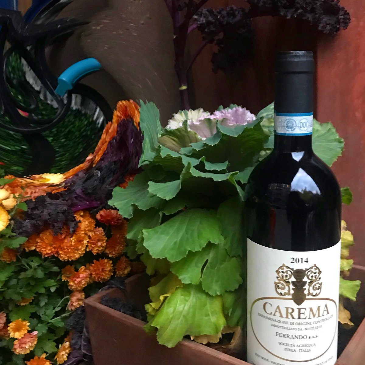 OPEN TIL 11PM THIS EVENING 
📍35 GREENWICH AVE NYNY
#westvillage #wine #thanksgiving #terrysnyc #thankful