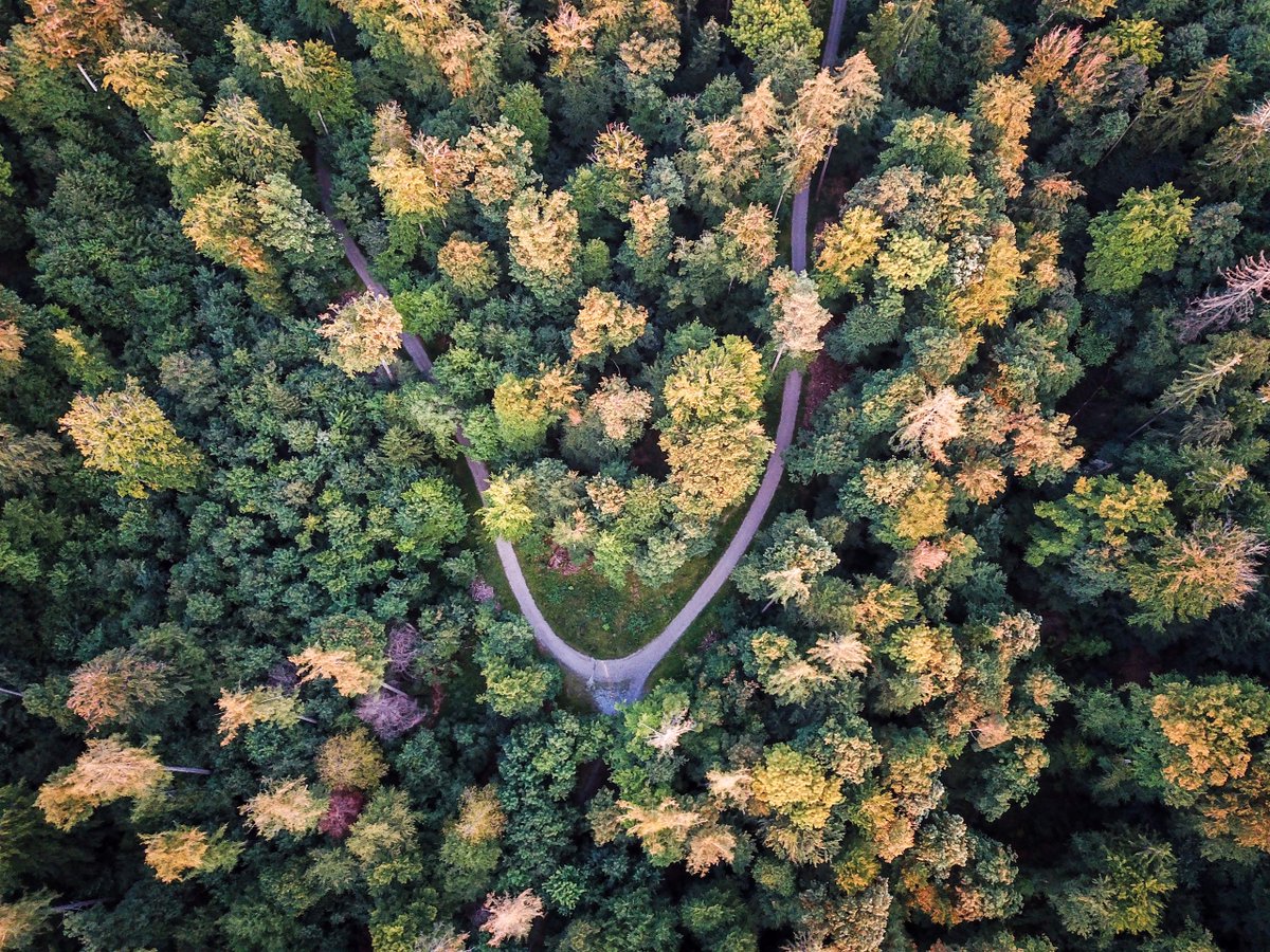 PDX Perspective (@PDX_Perspective) / Posts / X